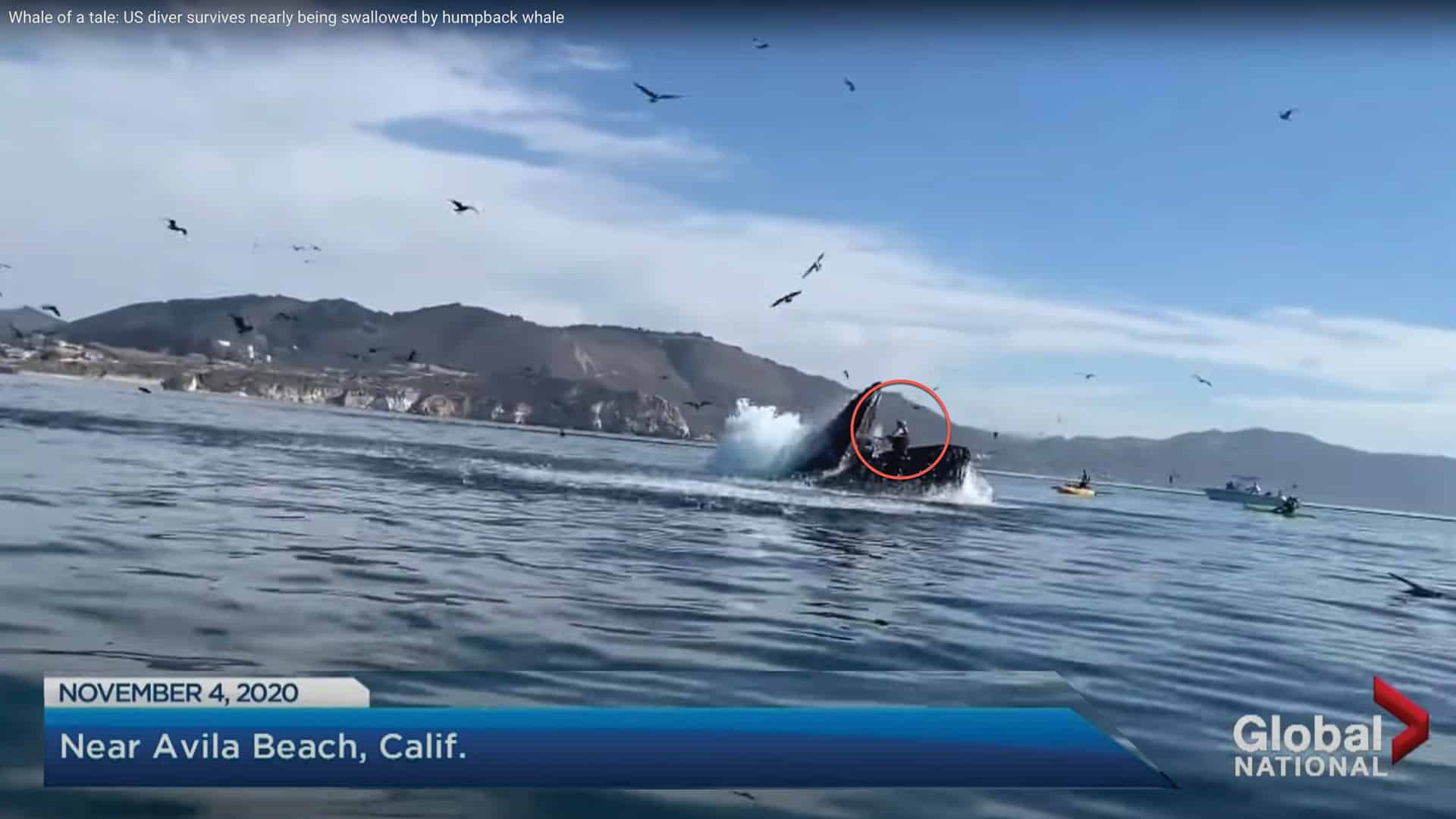 Man standing in the mouth of a whale